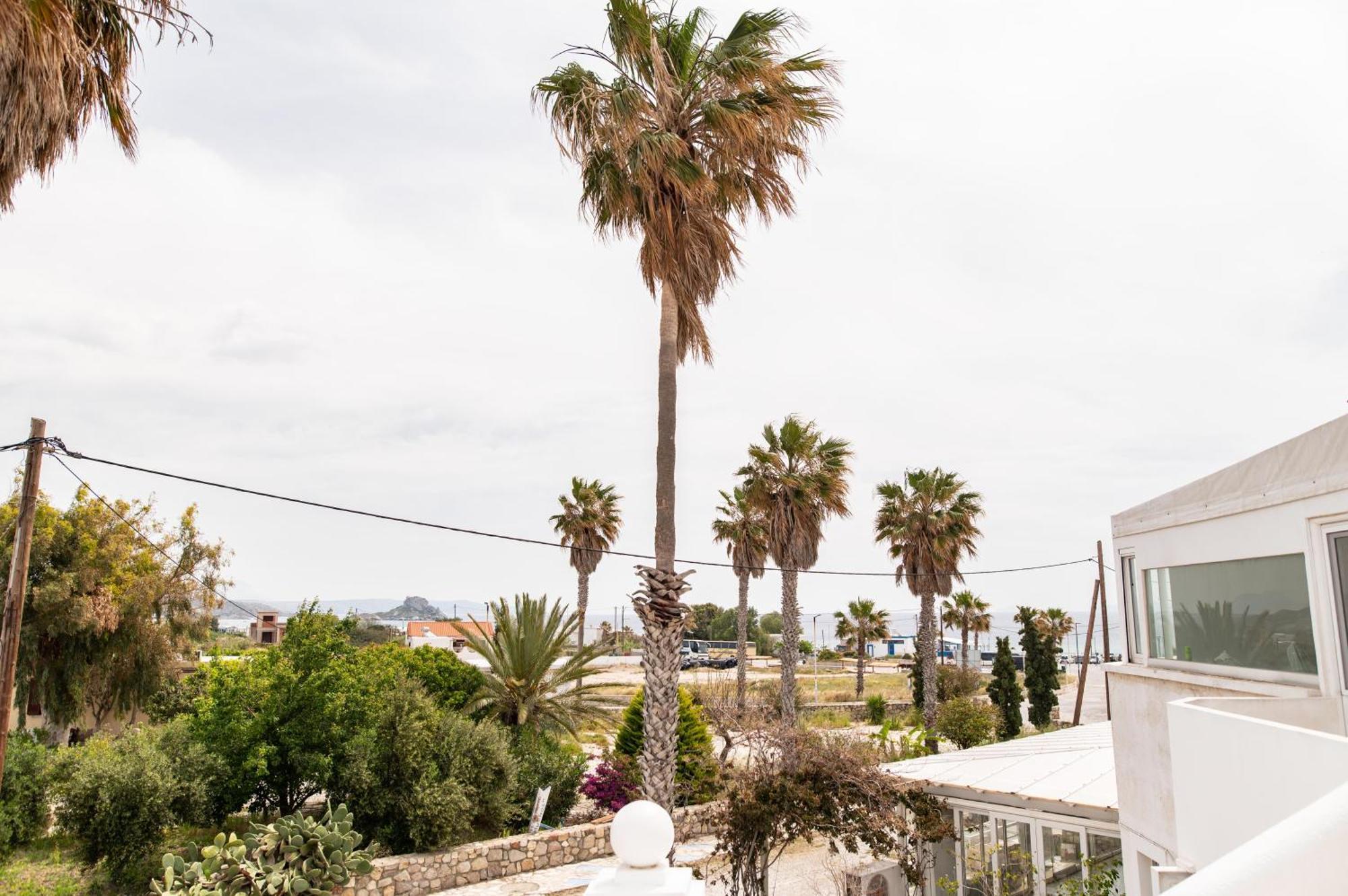 Ficus Traditional Apartments Kefalos  Exterior photo