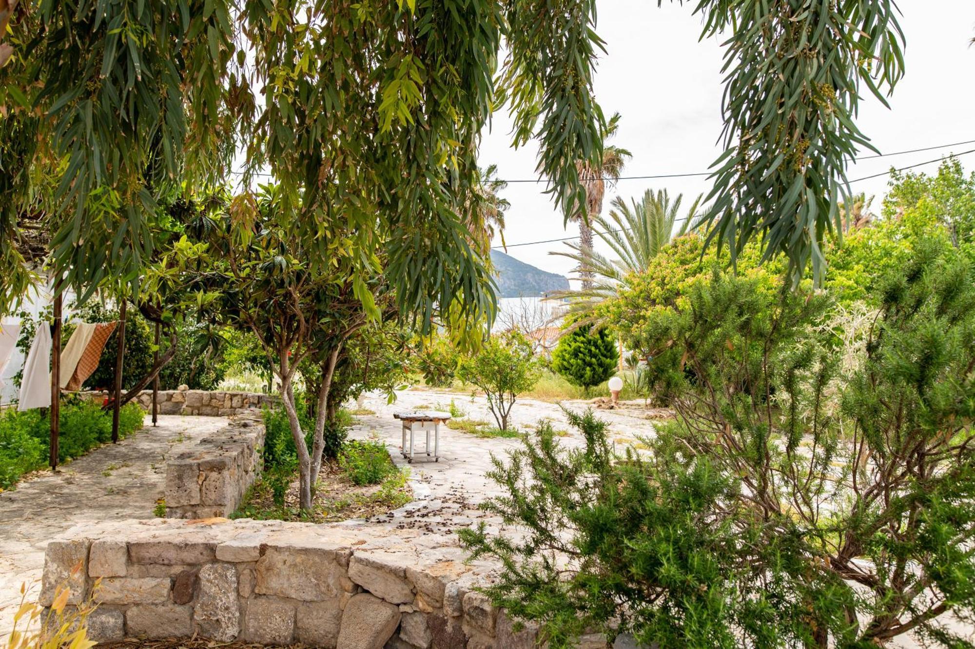 Ficus Traditional Apartments Kefalos  Exterior photo